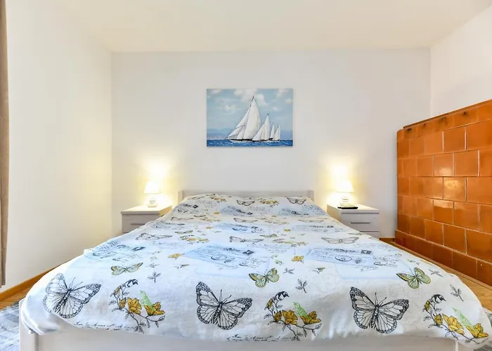 Nightbird * Ζαντάρ